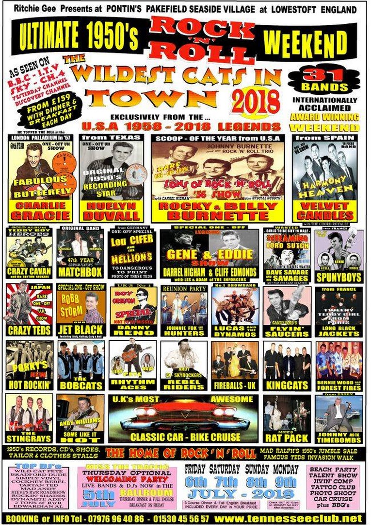 Wildest Cats In Town Summer 2018